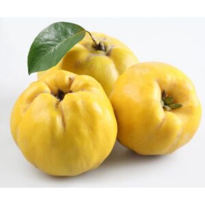 Liten rosenkvitten 'Sargentii'