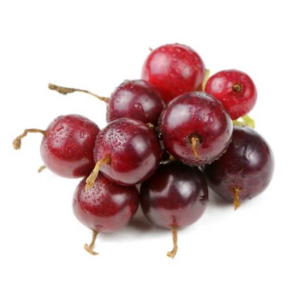 Krusvinbär (Ribes x nidigrolaria) P9/C1 - Bild 2