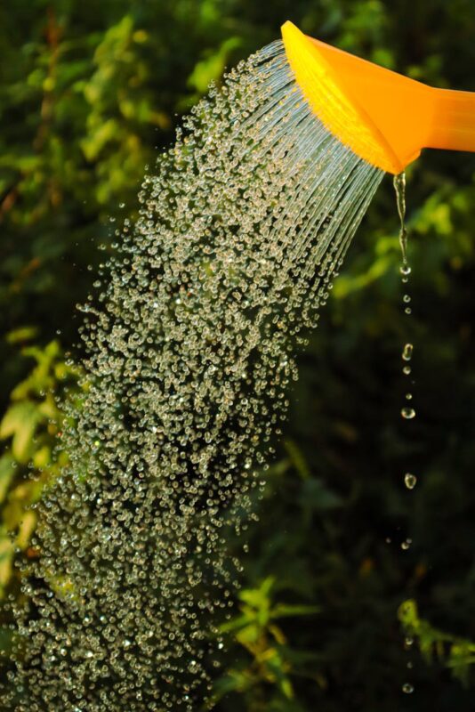 yellow shower head spraying water